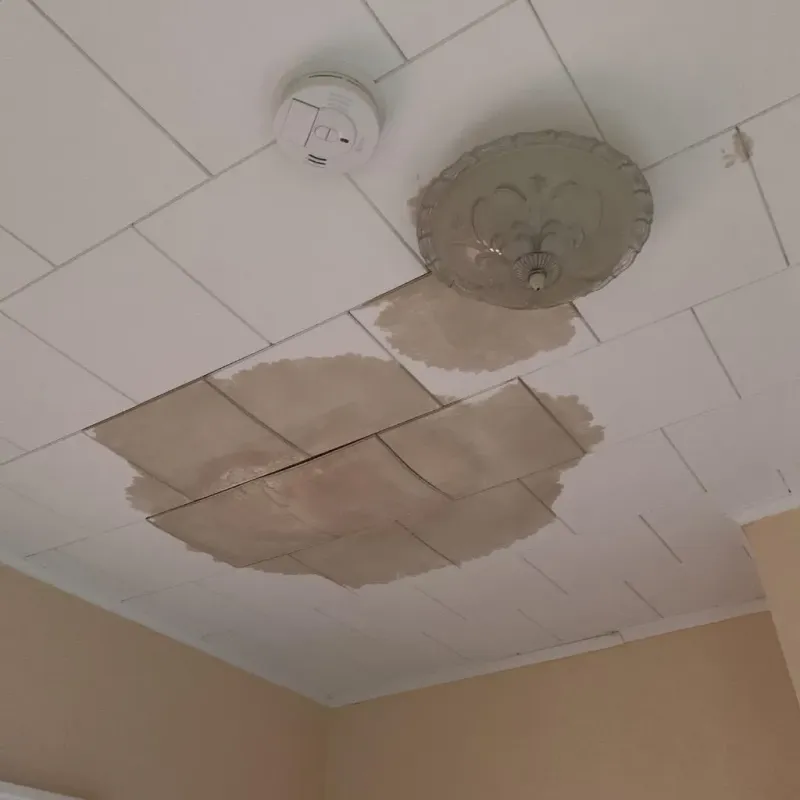 Ceiling Water Damage Repair in Stratford, CT