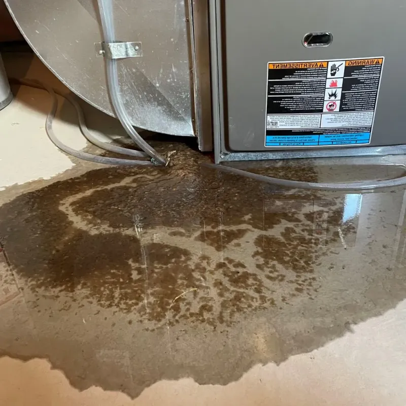 Pipe Burst and Leak Restoration in Stratford, CT