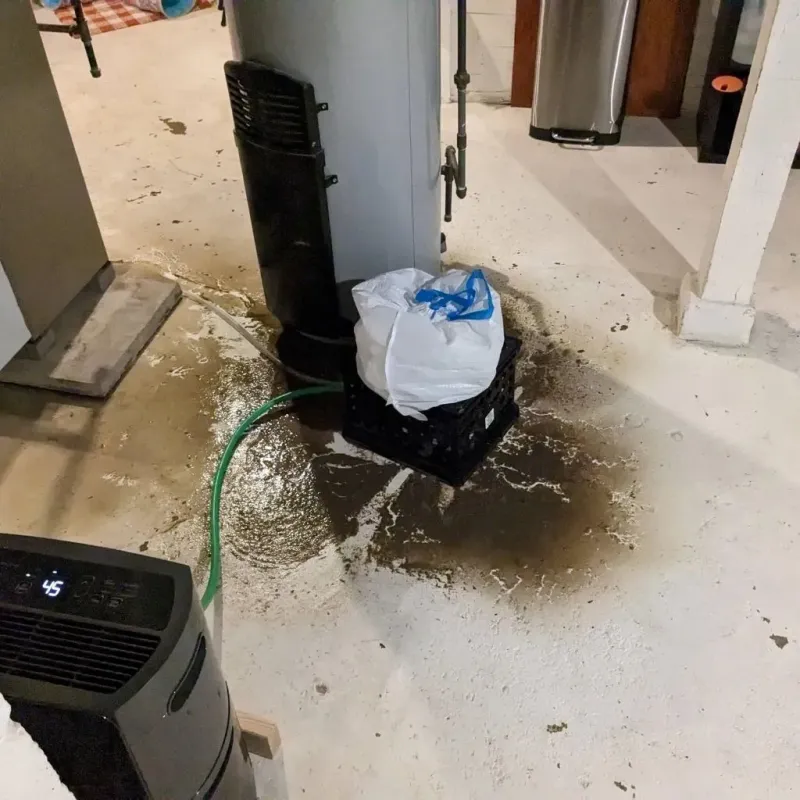 Sewage Backup Cleanup Service in Stratford, CT